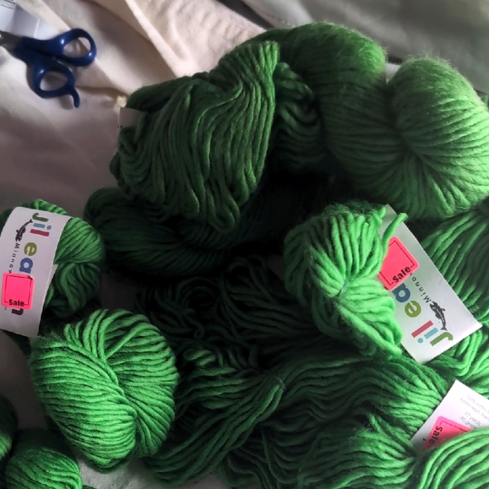 Jill Eaton Minnow  MerinoGreen Yarn